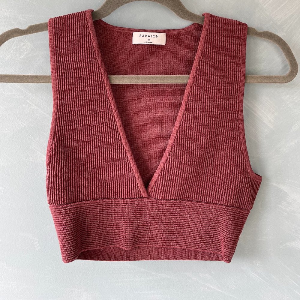 Aritzia Babaton Sculpt Knit Deep V Neck in Sundried Red